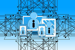 mk体育平台网页版入口-中小学体育教师教学技能提升路径研究，中小学体育教师应具备的教学技能
